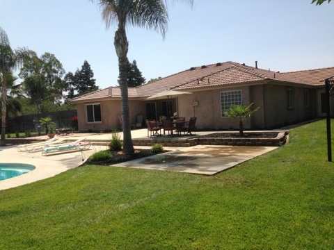 A backyard with a pool and palm trees.