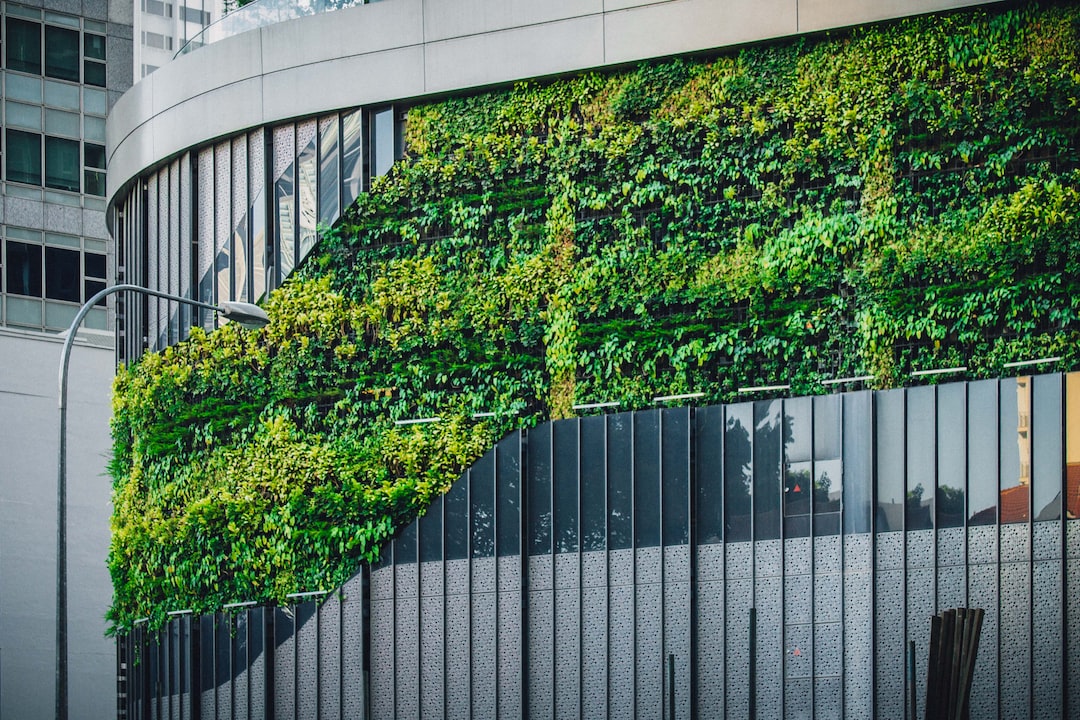 You are currently viewing Eco-Friendly Building Materials and Practices for Your Next Home Project