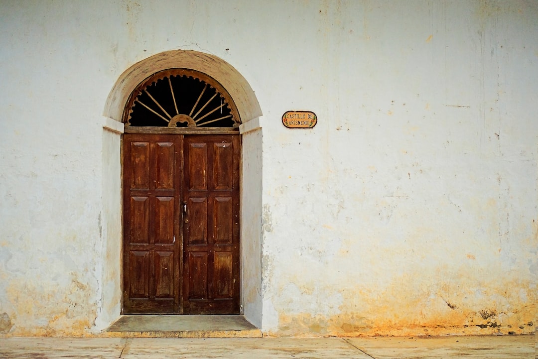Read more about the article Custom Door Designs for Carson Valley Homes