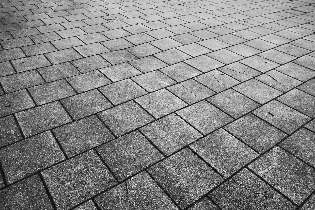 Read more about the article Custom Stamped Concrete: Enhancing Carson Valley Properties